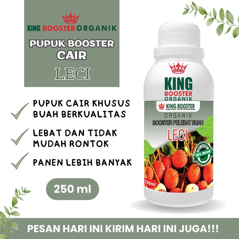 Booster Leci Cair 250ml Pupuk Booster Organik Leci Khusus Leci Agar Cepat Berbuah Lebat