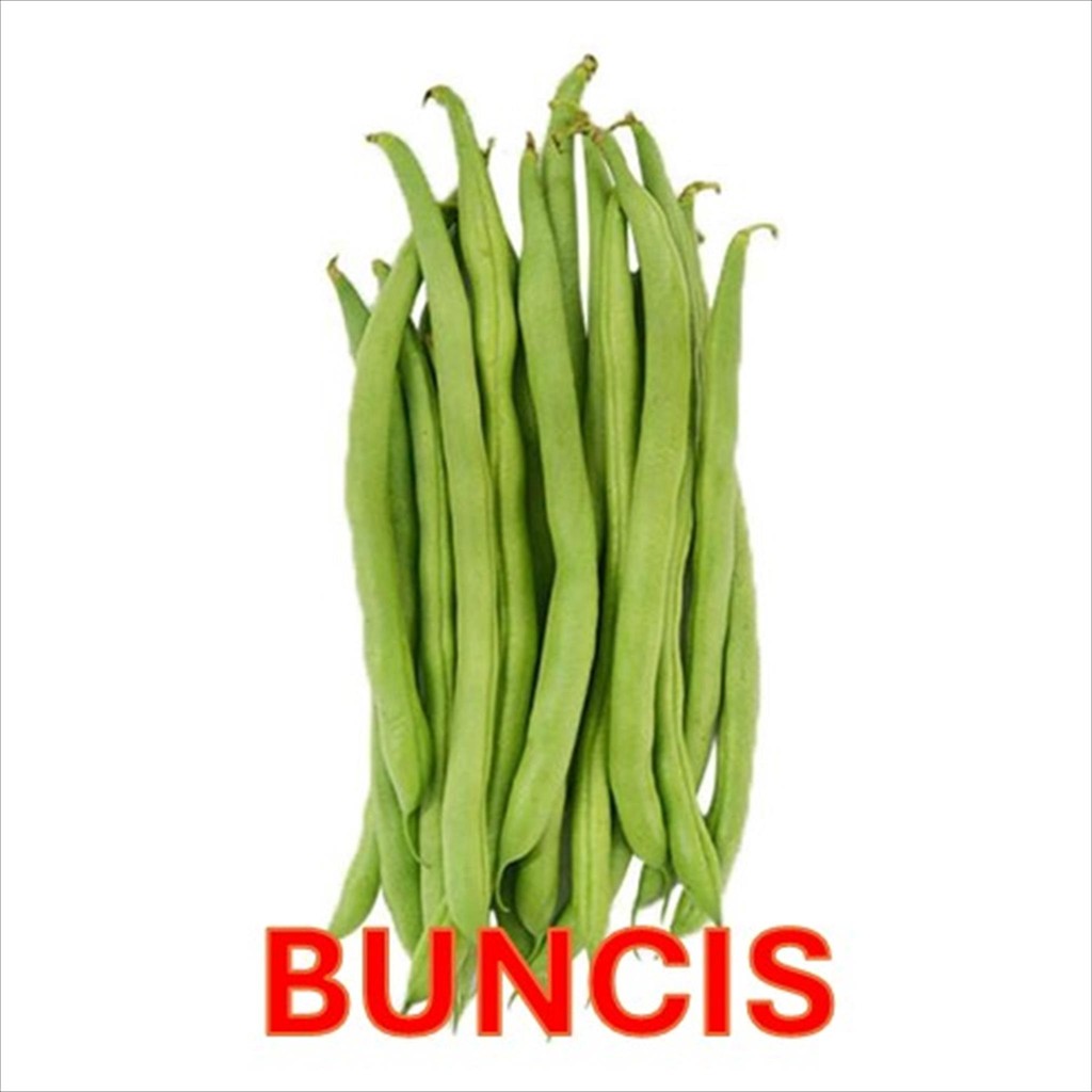 

BUNCIS SAYUR SEGAR / HARGA PASAR