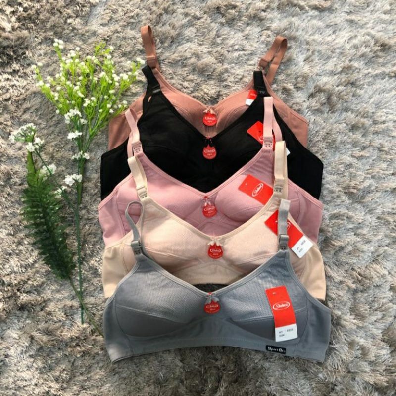 BH SPORT SHAHNAS//BH SPORT TERLARIS