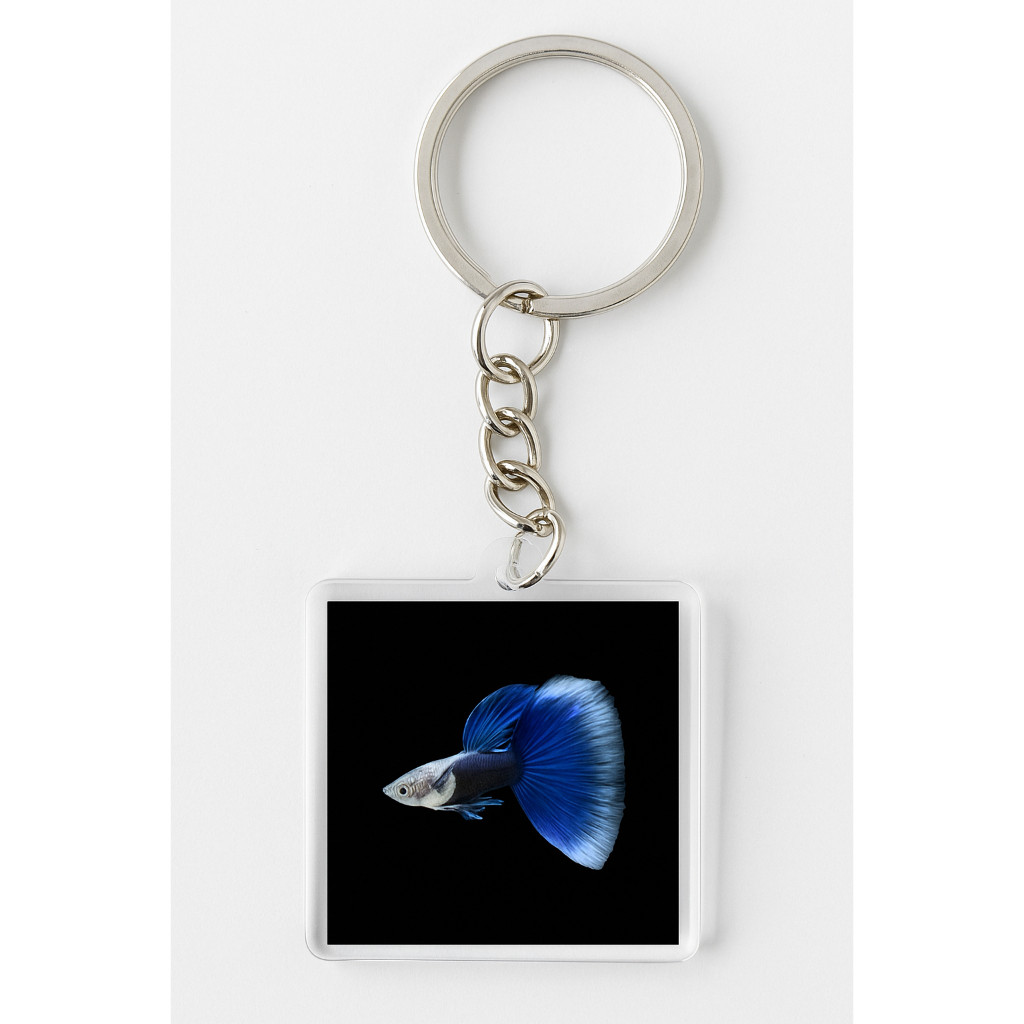 GANCI HB BLUE GUPI GUPPY SEPASANG