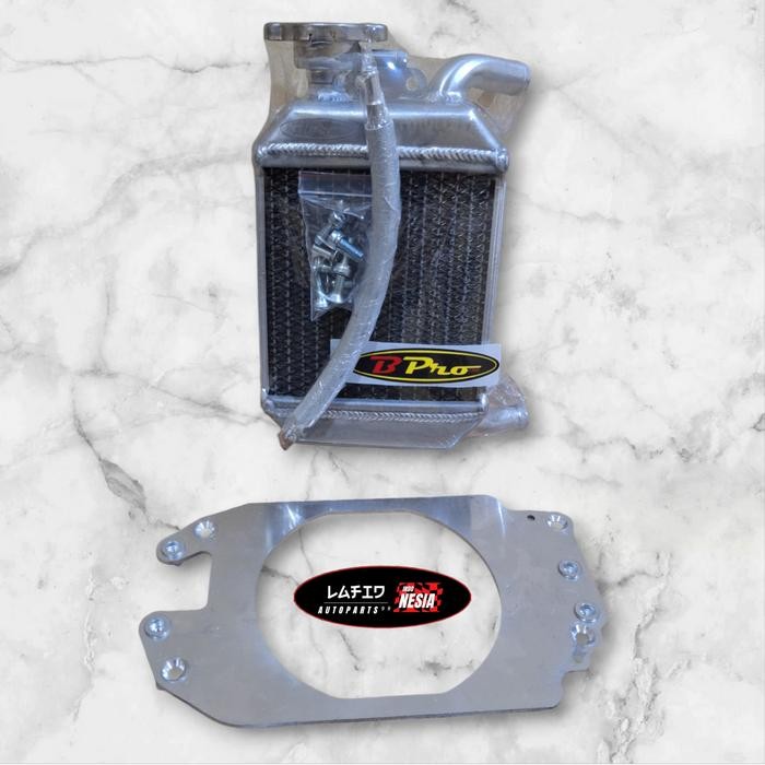 Radiator Bpro Vario 125 150 ADV