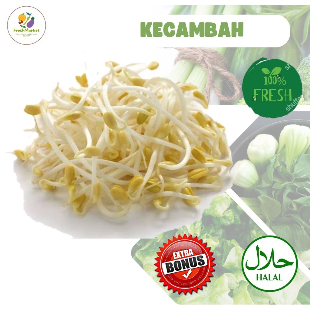 

Toge Kecambah Tauge Cambah Panjang Segar 500 Gram Sayurinstant