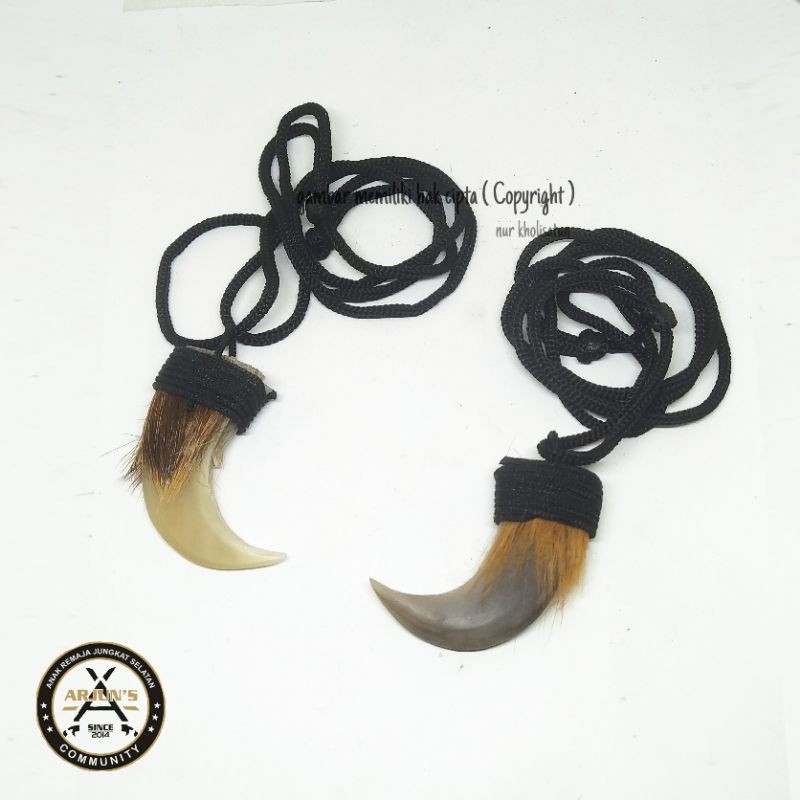 Kalung Bandul Kuku Maong Warna Hitam Dan Putih Tali Kuat Kualitas Terbaik.