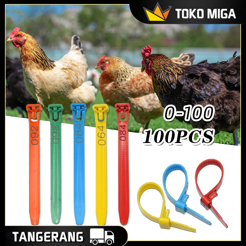 100PCS Cincin Kaki Ayam Untuk 10~28MM Reusable Ring Kaki Ayam Serama Adjustable Bahan PP