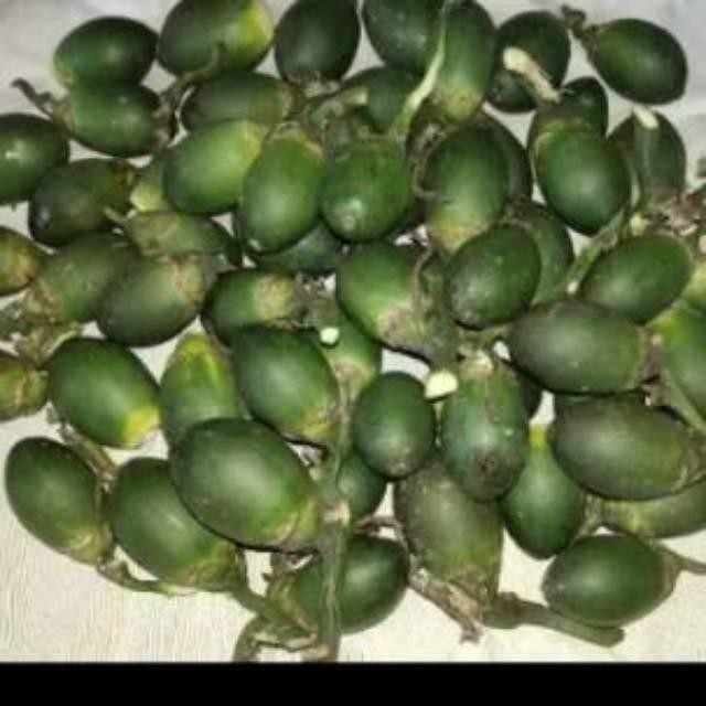 

Ready stok Buah pinang jambe muda 1 kg buah pinang muda segar Shop with