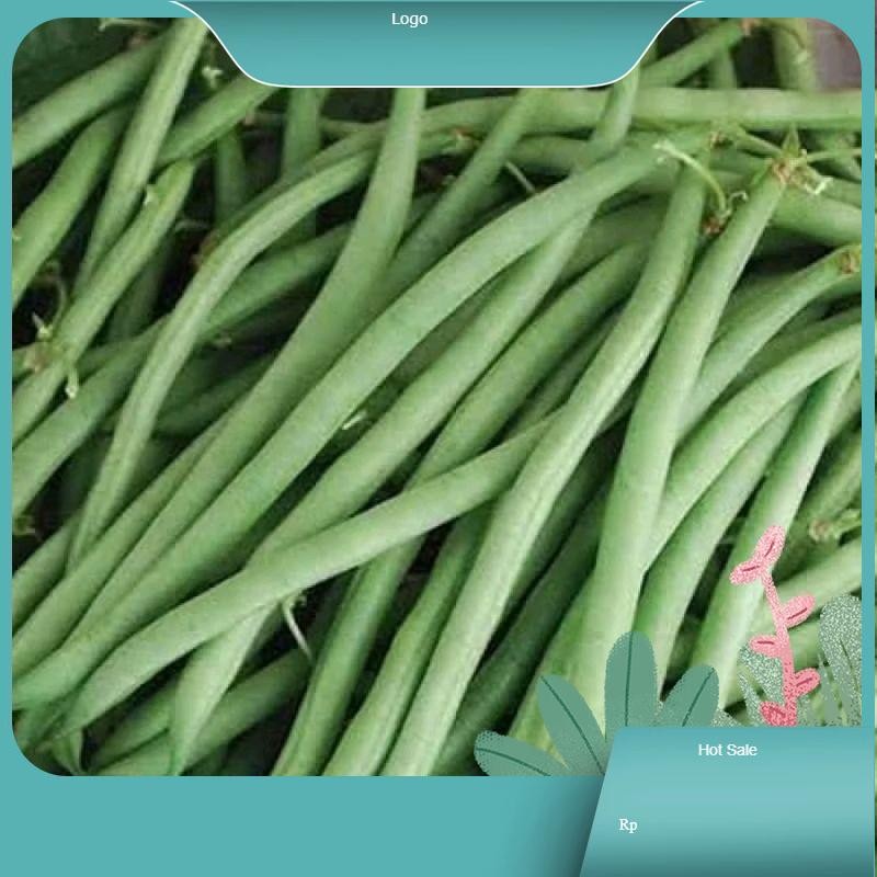 

Kacang Buncis Lokal Muda Segar - Produk lokal muda dan segar untuk Anda