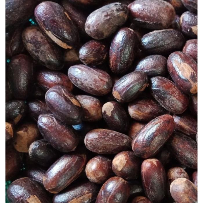 

Promo BIJI PALA POLO LONJONG UTUH DENGAN KULIT 100/250/500 GRAM - 500 GRAM