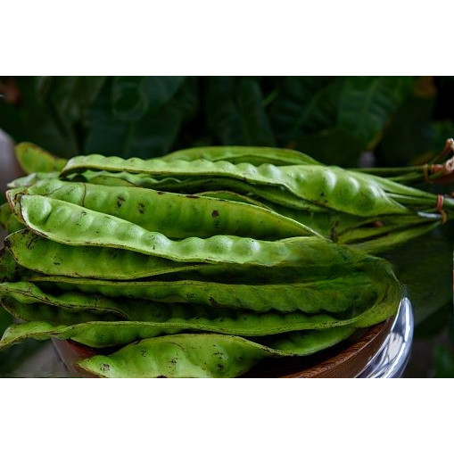 

BUAH PETAI lokal muria ukuran sedang dan besar isi 5 papan/keris