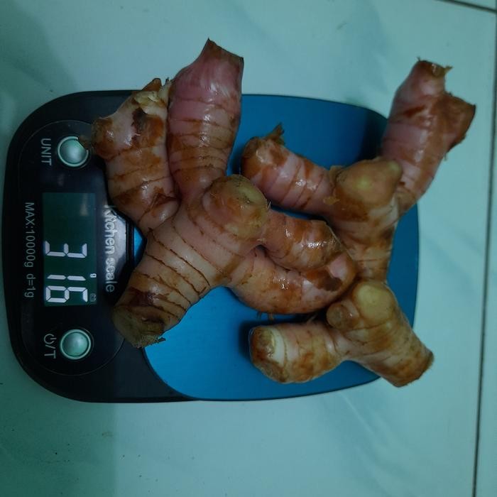 

PROMO! lengkuas 250 gram