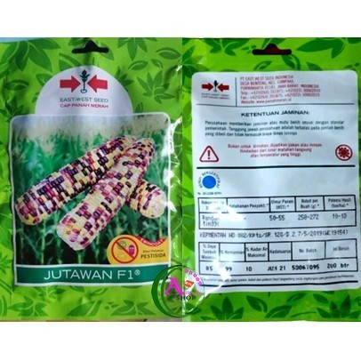 Bibit Benih Jagung Ketan Manis JUTAWAN F1 ( Isi 10  Biji )