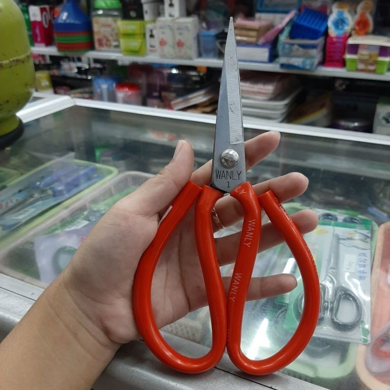 

Wanly Gunting Kain Kodok Besi