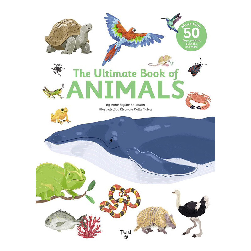 [ABCKIDS] SEGEL The Ultimate Book of Animals - Imported Children Education Book Flap Pop Up - Buku I