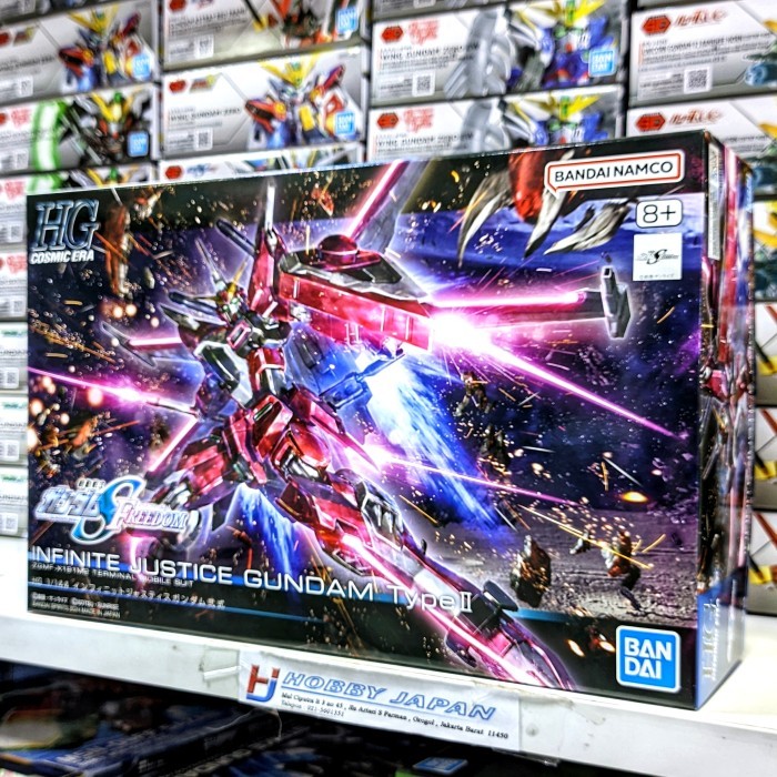 HG Infinite Justice Gundam Type II