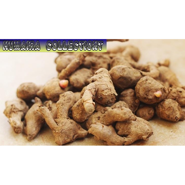 

TEMU KUNCI SEGAR 1KG Humaira Collectiont