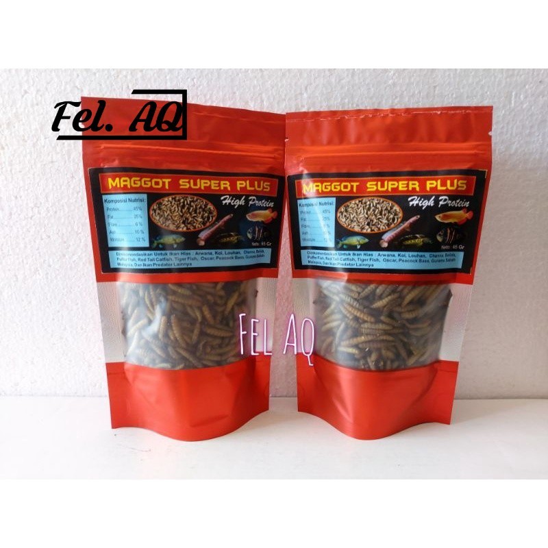 Maggot Super Plus 50g BSF Ulat Hongkong Pakan Arwana Louhan Channa Predator Chana Cana Arowana