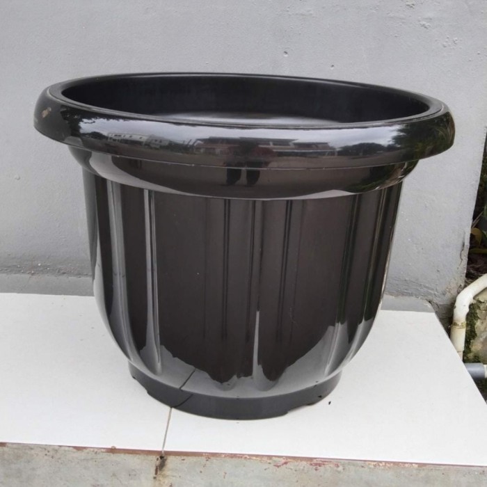 POT JUMBO 60 : pot kuping besar pot buah tambulampot khusus gosend instan