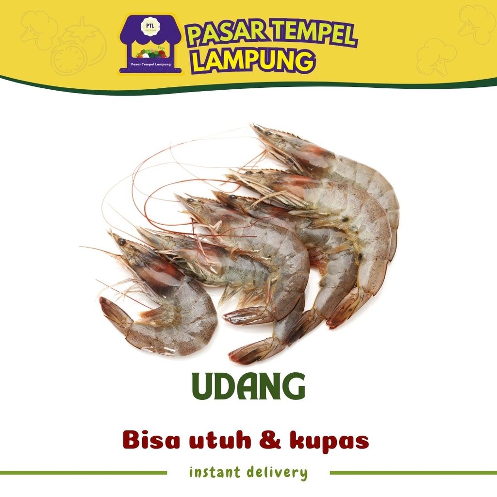 

Udang Udang Segar Udang Makanan Segar Seafood Segar Olahan Laut Udang Pasar Tempel Lampung