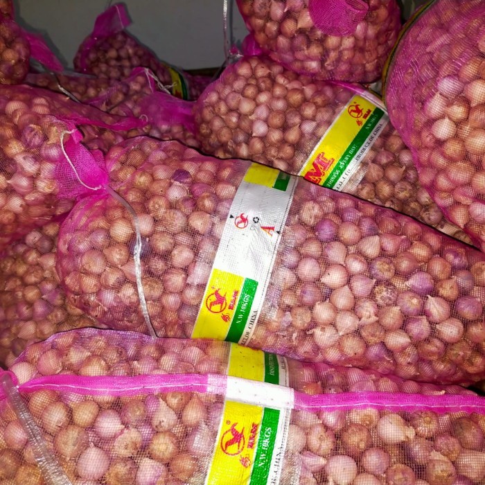 

Bawang Putih Tunggal/Bawang Lanang Tunggal Jumbo 1KG - Uk.2,2cm M