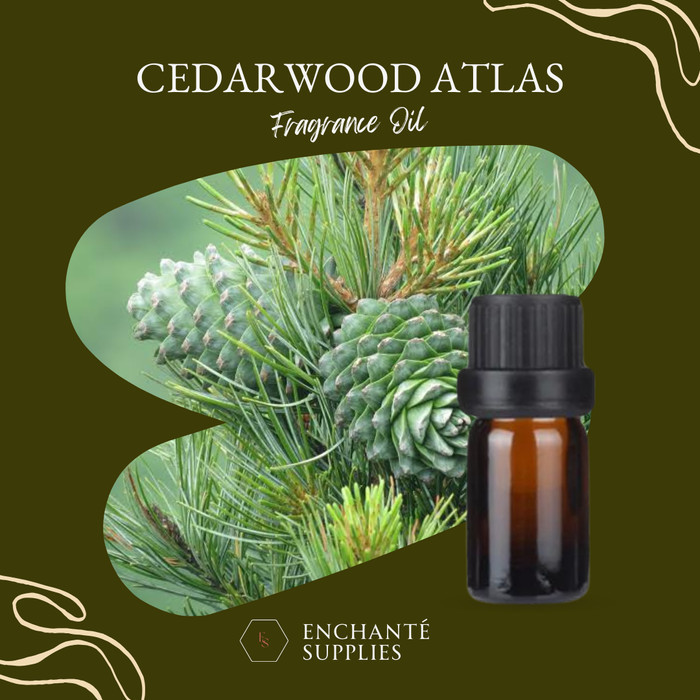 Cedarwood Atlas Fragrance Oil High Quality For Perfumery & Scent Products Purpose