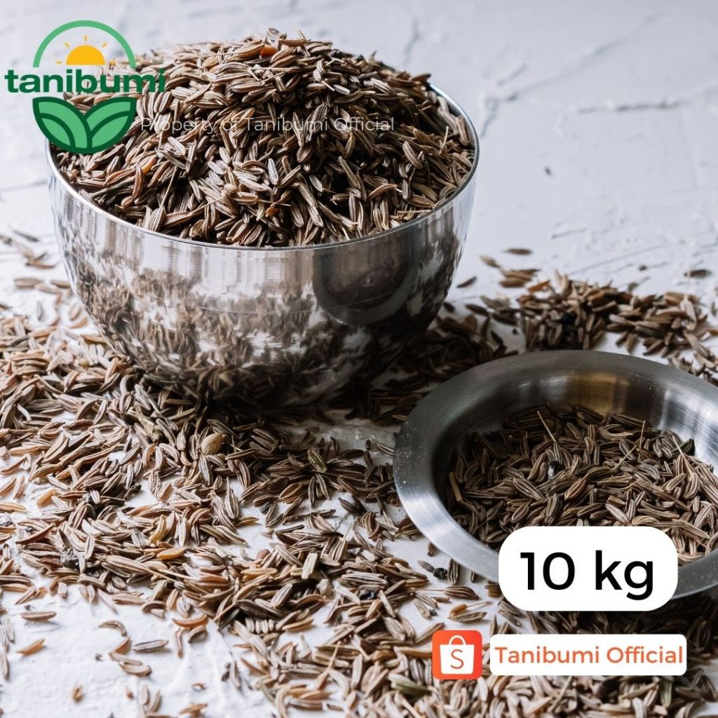 

10Kg | Termurah Caraway Seed | Jintan Masak | Biji Jinten Karaway Premium