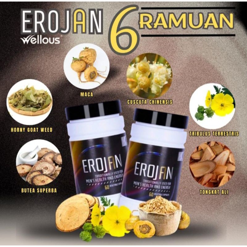 DISTRIBUTOR RESMI EROJAN WELLOUS ASLI ORIGINAL MULTIVITAMIN KESEHATAN SUPLEMEN  PRIA DEWASA BPOM
