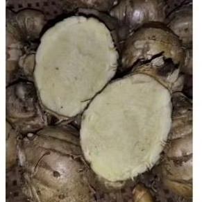 

TEMU PUTIH SEGAR 1 KG. KUNYIT PUTIH FRES TERMURAH