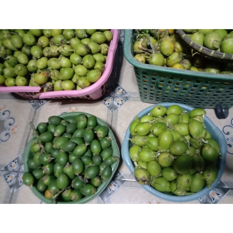 

BUAH PINANG MUDA Jambe wangi 1 KG