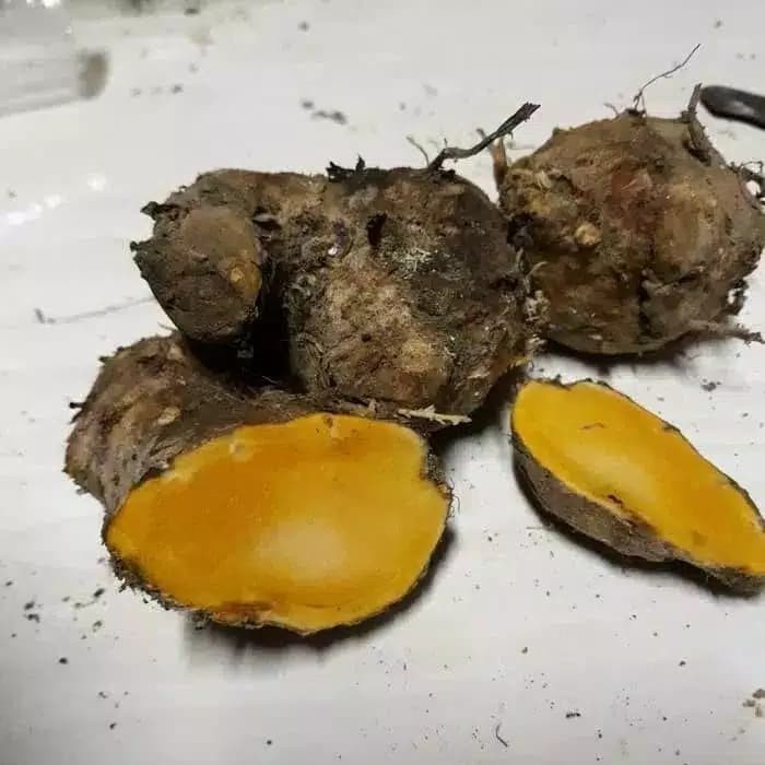 

Frankshopp Temulawak Temu Lawak 250 gram - 250gr