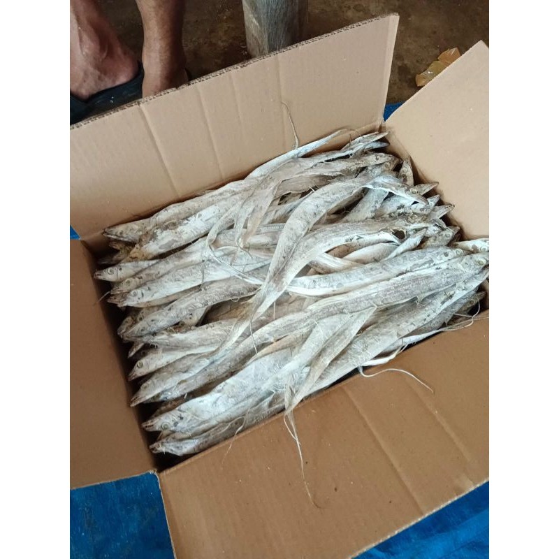 

(Officia Numyza) IKAN ASIN LAYUR KEMASAN 1KG