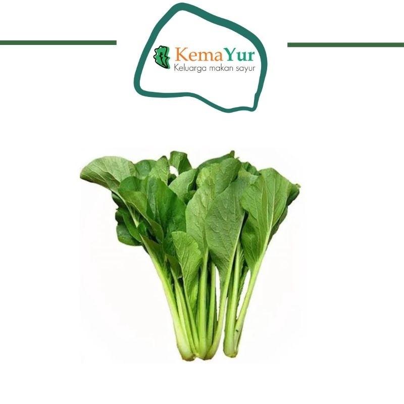 

SAYUR SAWI HIJAU SAWI IJO 1 IKAT FRESH