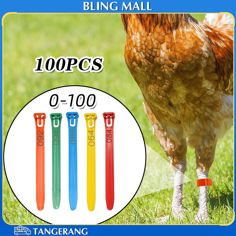100PCS 10~28MM Gelang Ayam Kaki Adjustable Ring Kaki Ayam Bangkok Bahan PP