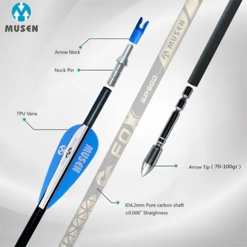 Arrow Musen Pure Carbon - Musen Fox Spine 1000