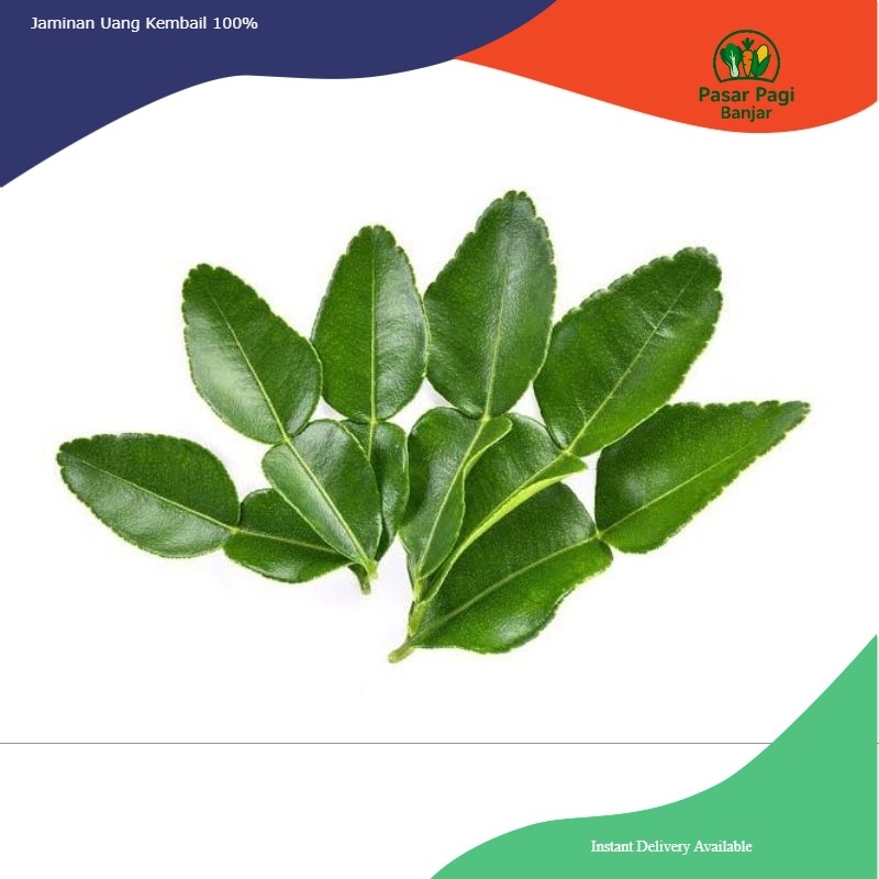 

Daun Jeruk Segar Per Pack