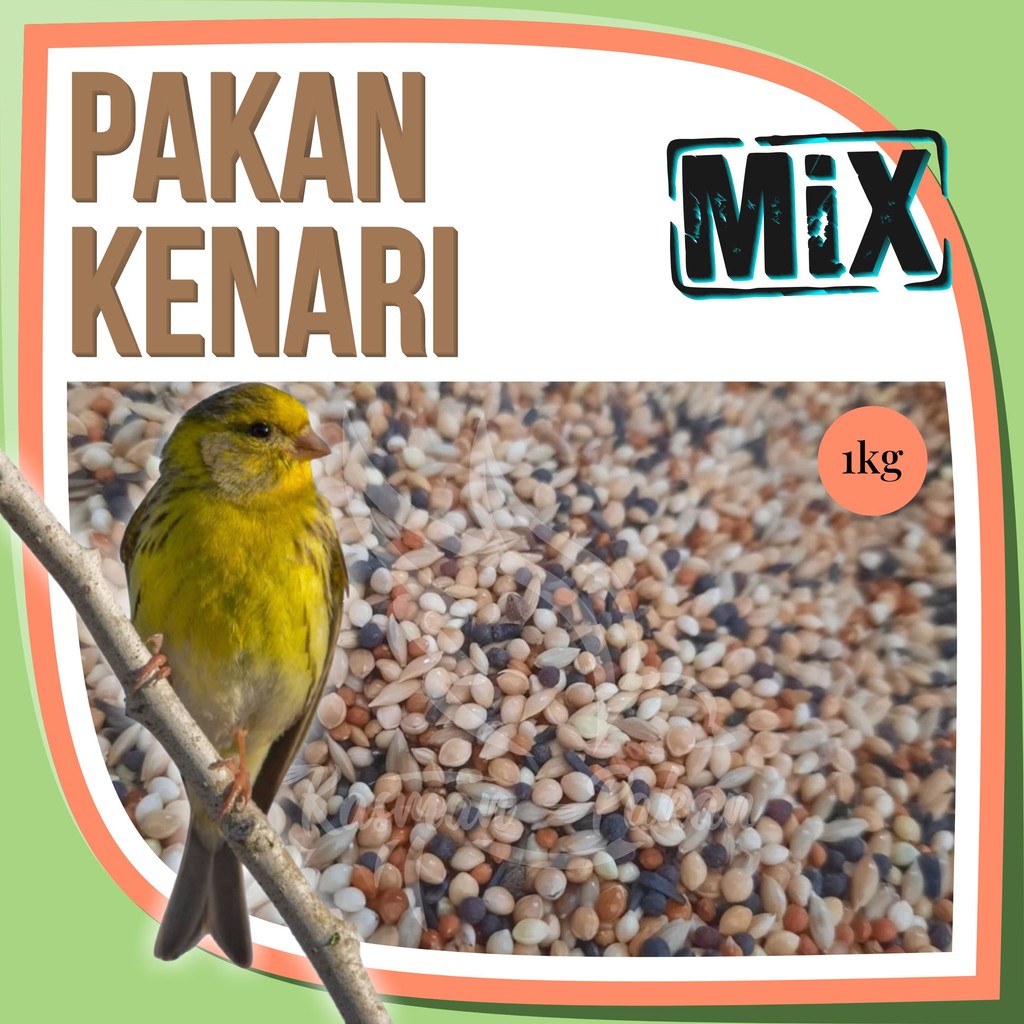 Pakan Kenari 1 Kg Campur Kiloan Premium Biji Sawi Jewawut Kenari Niger Seed Milet Kuning Merah Putih