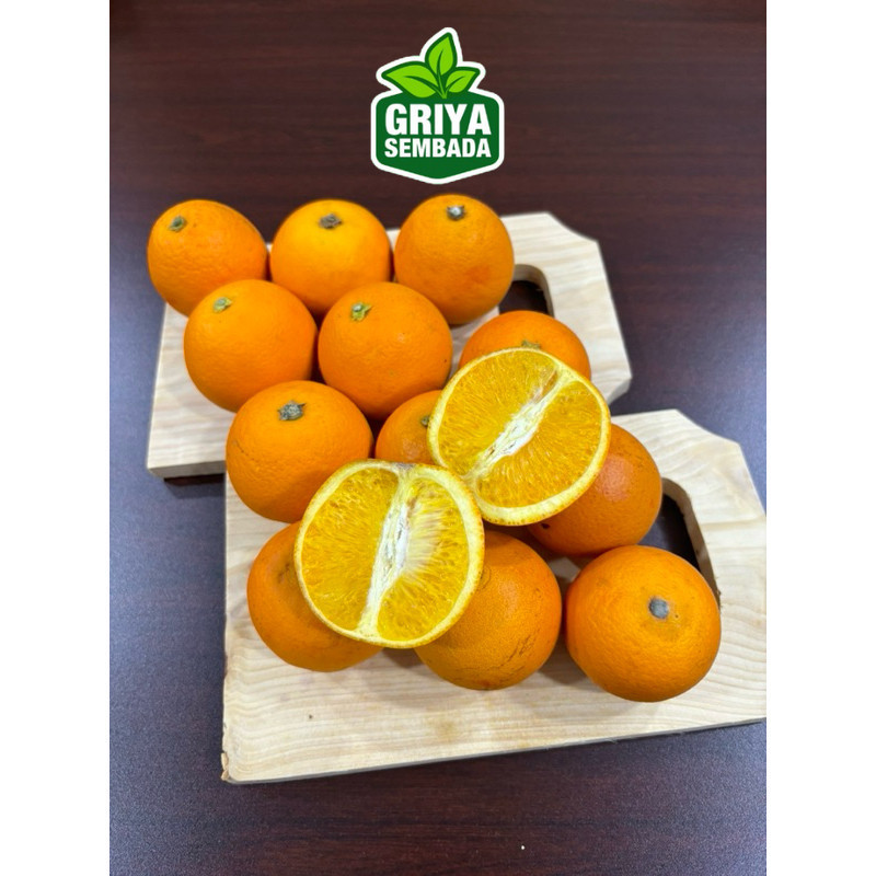 

Instant Jeruk Valencia Navel Peras 1 Kg Griya Sembada