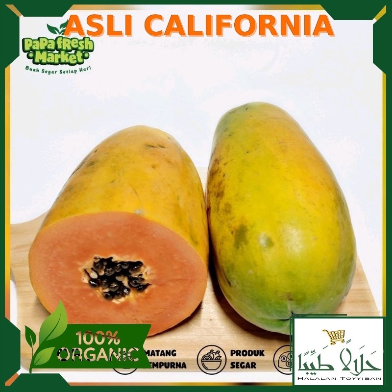 

PEPAYA CALIFORNIA PREMIUM TERMURAH Per 1 Buah
