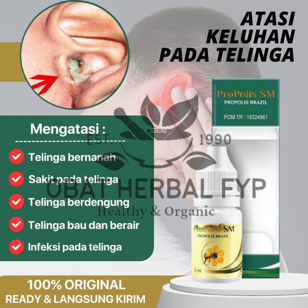 Propolis SM - Obat Tetes Telinga, Obat Telinga Berair Dan Bau, Obat Congek Sakit Berdengung Budek Ku