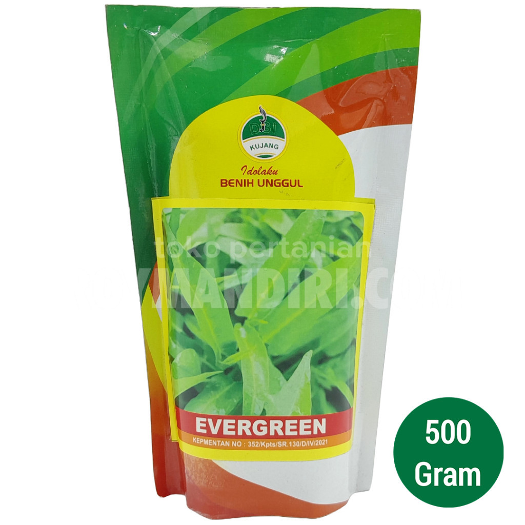 Benih Kangkung Evergreen @500 gram