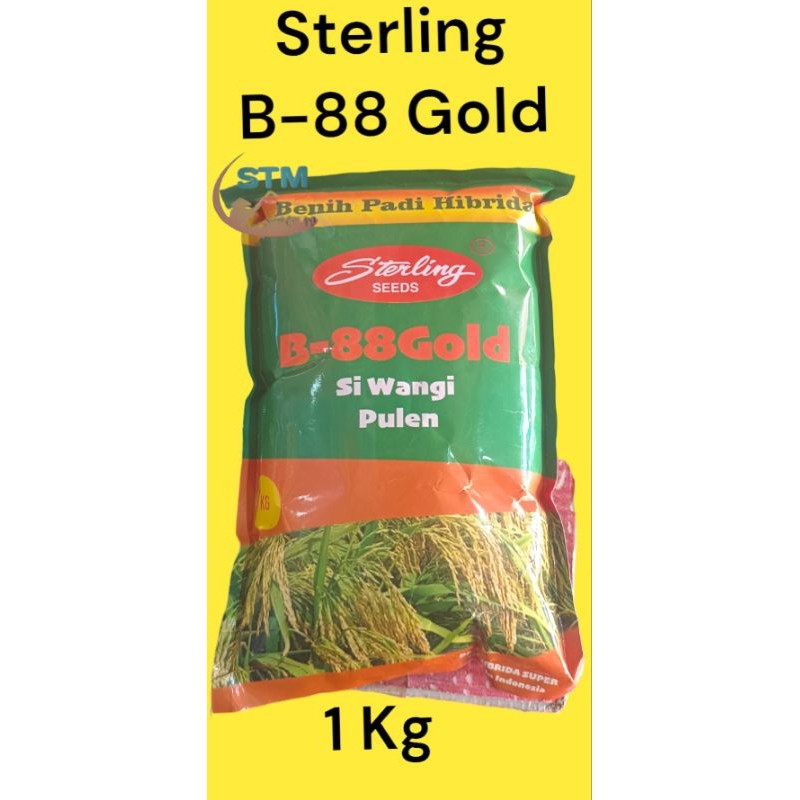 Benih padi hibrida Sterling B 88 gold 1 Kg