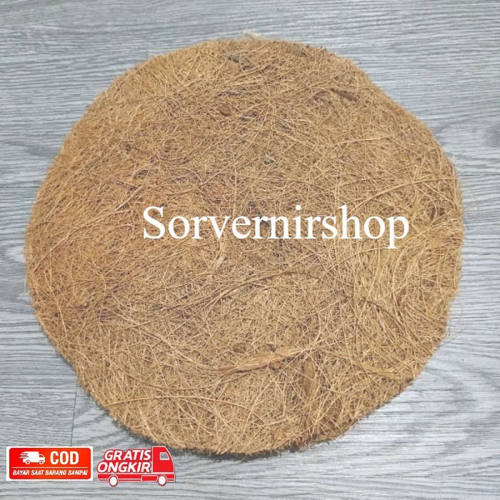 Alas sarang burung sabut kelapa burung merpati - alas glodok lovebird kenari