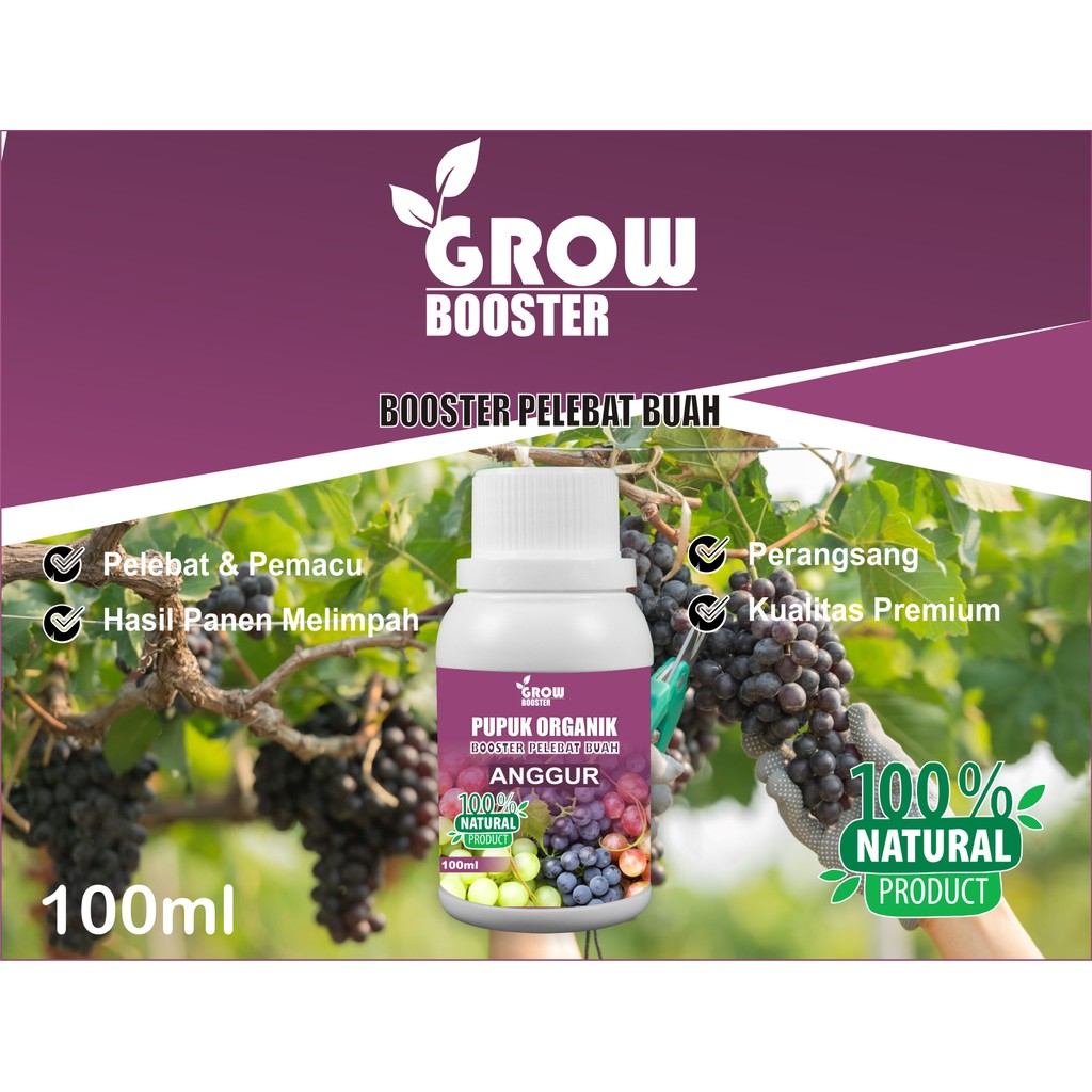 GROWBOOSTER - Pupuk Buah Anggur Kemasan 100ml | Pupuk Organik Cair Anggur | Pupuk Anggur