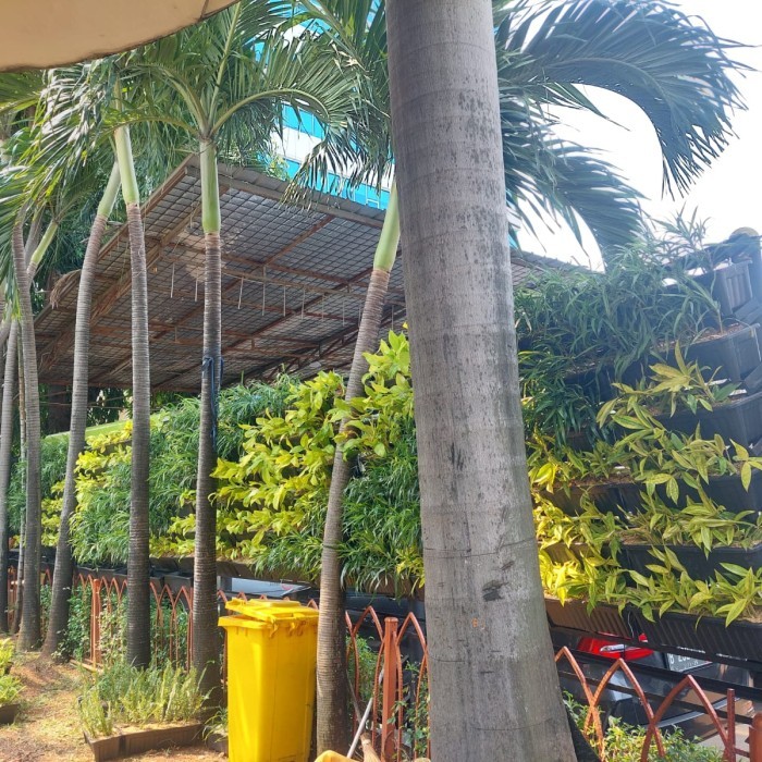 (TERLARIS) Tanaman Vertical Garden / Pembuatan Taman Vertical indoor outdoor