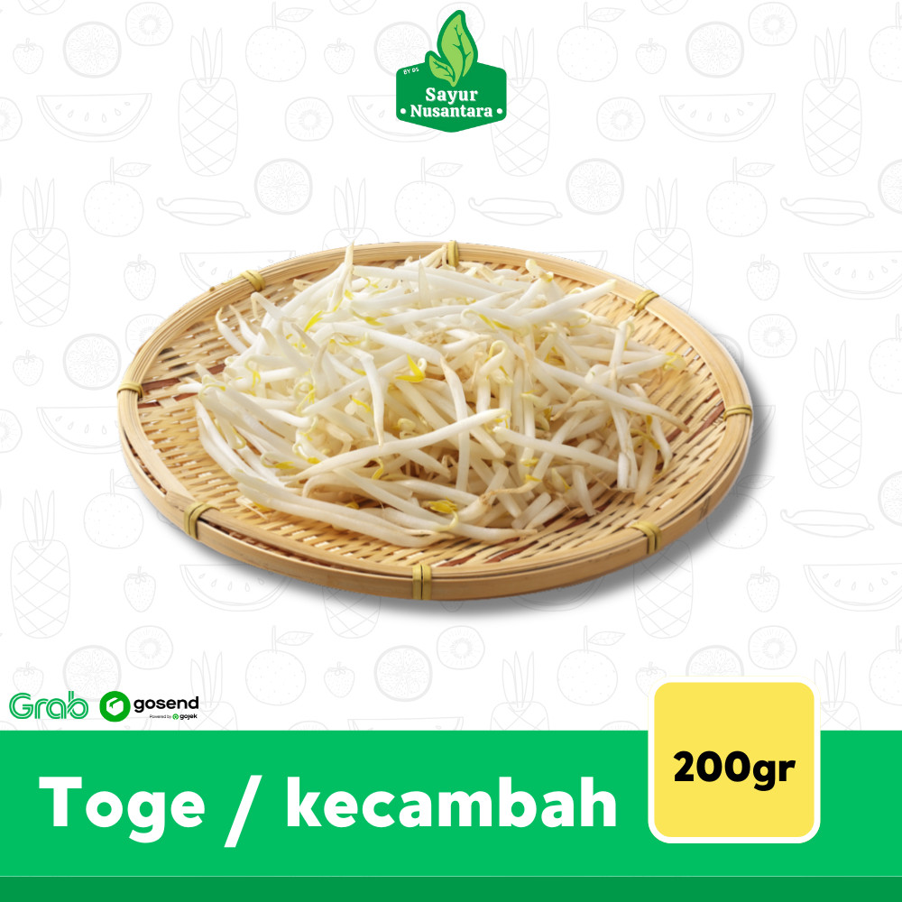 

New Toge / Kecambah 200gr - Sayur NusantaraPremium