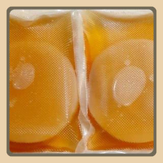 

Bibit Scoby Kombucha Premium Plus Starter