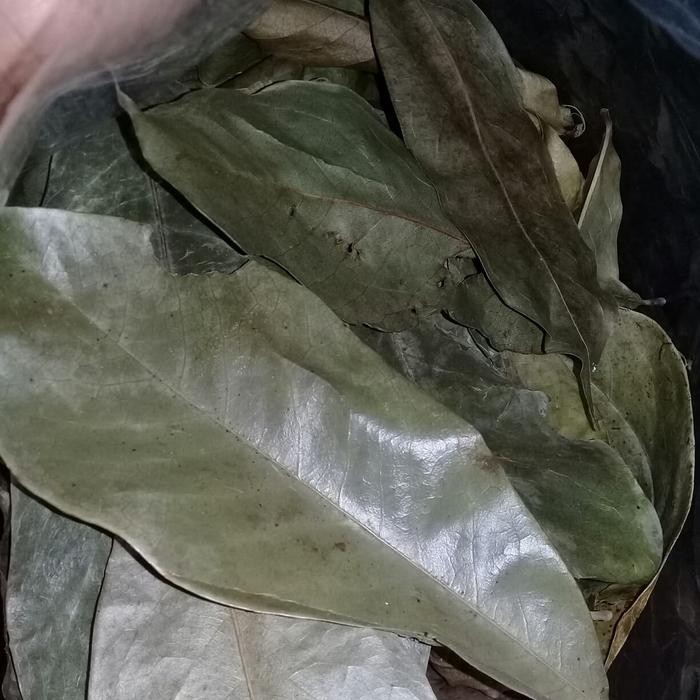 

daun sisak kering