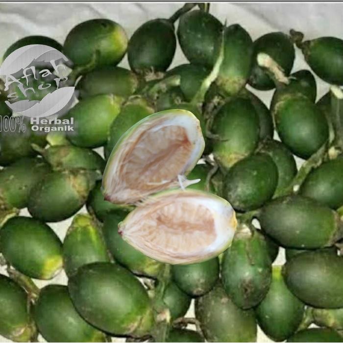 

ready 1kg buah pinang muda atau jambe muda, tres/ baru petik