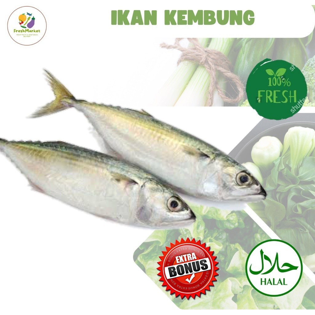 

Ikan Kembung Segar 500 Gram Sayurinstant
