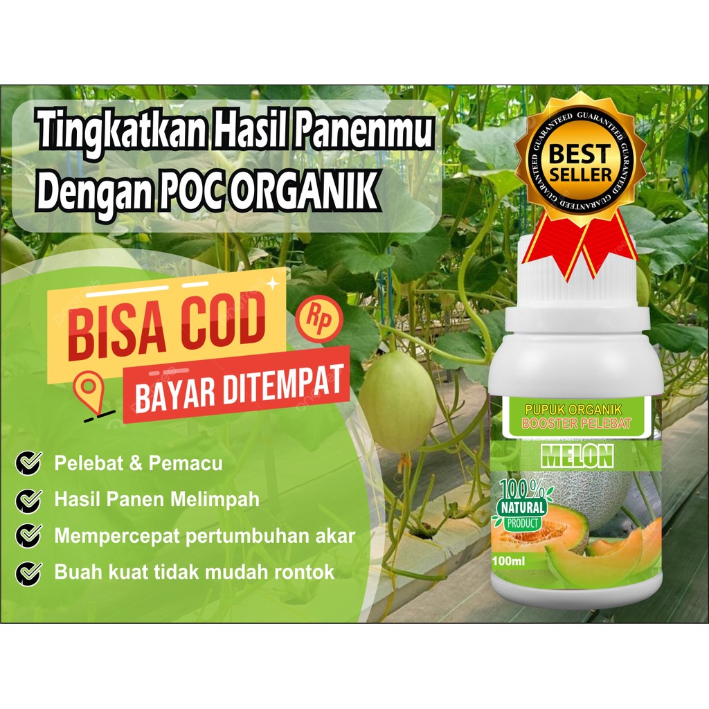 pupuk booster cair melon, Pupuk Pembesar Pemanis Buah Melon / Pupuk Untuk Penyubur Perangsang Tanama