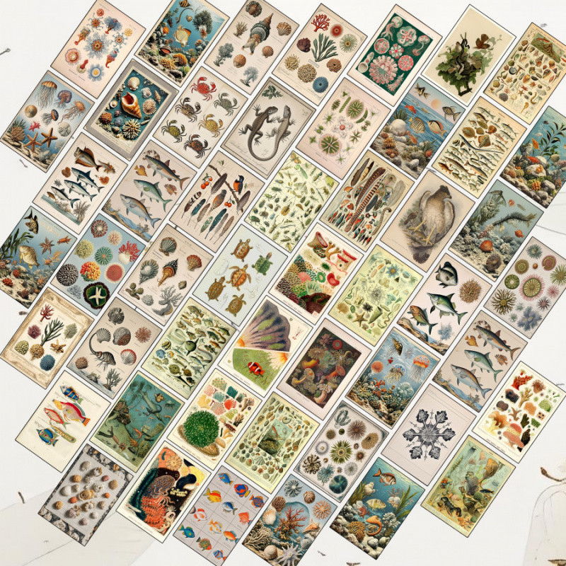 

Natural Retro Style Marine Life、Animal、Crab Postcard，Card、Poster、Greeting Card；For School Room Decoration，Wall Sticker Kit，Aesth