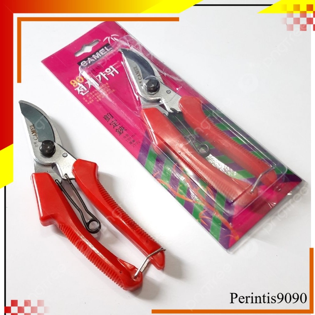 gunting ranting/dahan pohon camel